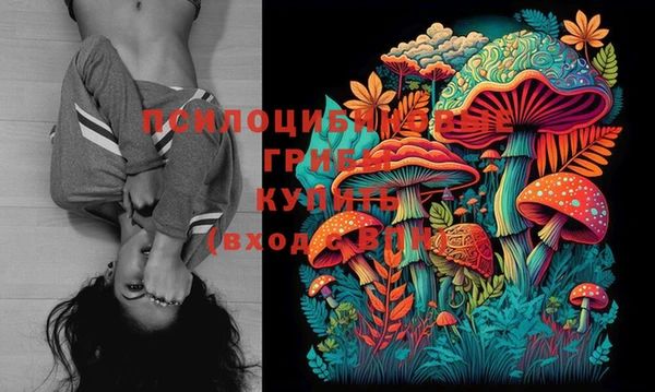 кокс Каменногорск